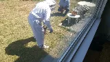Total Pest Control Ltd Surrey BC photo 2