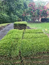 Galloway's Lawn Service photo 7