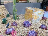 Stepping Stone Landscape Design photo 8