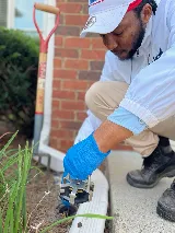 Lookout Pest Control