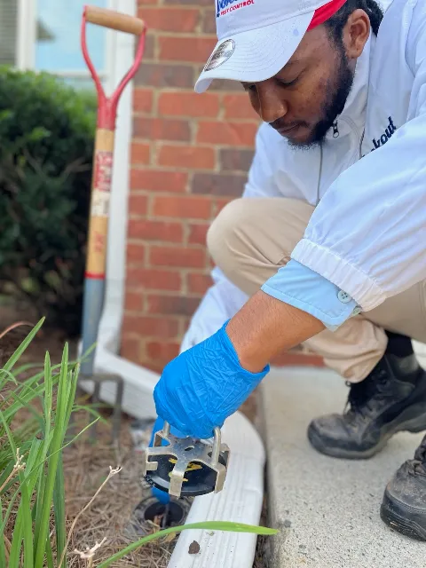 Lookout Pest Control photo 1