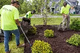 Trimline Landscape Management photo 2