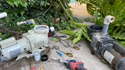 Alex's pool service and Repairs in Moreno Valley
