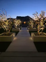 The Landscaping Masters Inc. photo 4