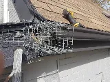 AAA Pest Protection Service photo 3