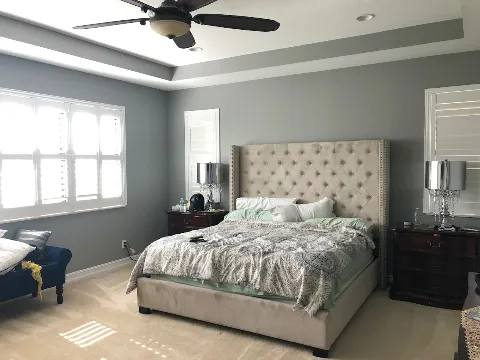 Levinson Painting in Coral Springs