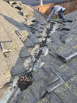 True Roof Inc. photo 4