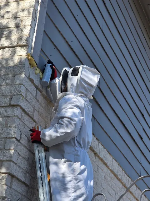Superior Pest Control, LLC photo 1