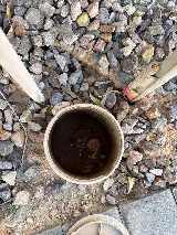 Bulwark Exterminating photo 8