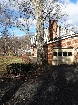 Enviro-Tech Pest Services photo 4