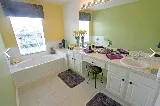 Paints Well with Colors photo 7