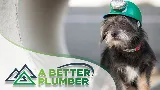 A Better Plumber (an Absolute Plumbing Company)