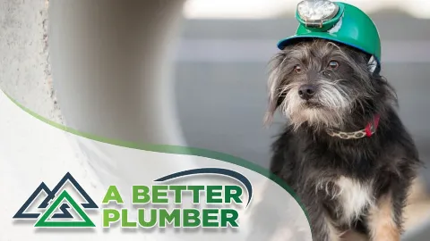 A Better Plumber (an Absolute Plumbing Company) photo 1