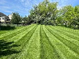 Ray Bros. Landscape & Design photo 2