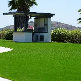 Alpha Turf Inc photo 3