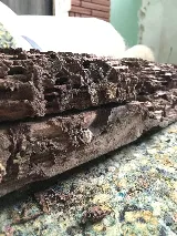 Bug Bully Pest Control photo 7