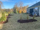 The Plant Guys photo 2