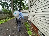 Insight Pest Solutions photo 2