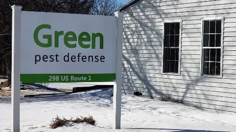 Green Pest Defense in Brunswick