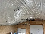 360 Electric Florence photo 2