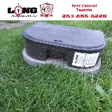 Long Pest Control photo 2