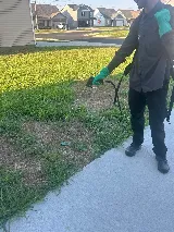 Pure Pest Solutions