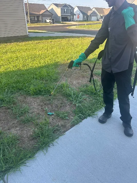 Pure Pest Solutions photo 1