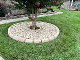 Yellow Jacket Landscaping, LLC photo 3