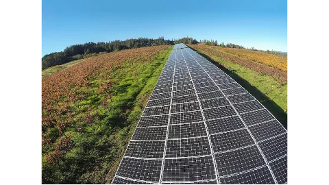 Westcoast Solar Energy photo 1