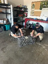 Myles Pest Services photo 8