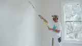 That 1 Painter Louisville photo 2