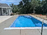Penguin Pools photo 4