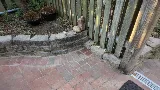 Avanza Landscaping & Maintenance photo 8