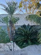 Four Seasons Landscaping photo 6