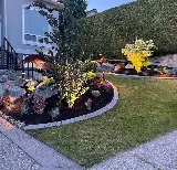 Pacific Paradise Landscaping photo 7