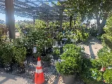 Moana Nursery Landscape Services photo 2