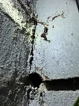 Phantom Pest Control Vancouver photo 7