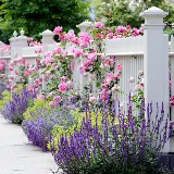 DLTC Landscape Contractors photo 8