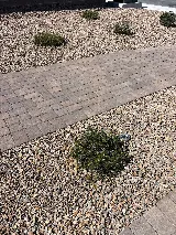 LandTeck Inc. Landscape & Irrigation Contractor photo 5
