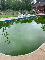 Natural State Pool and Spa photo 4