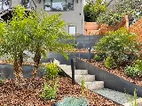 Latitude 37° Landscape + Design