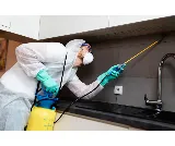 Mirak Pest Control photo 7