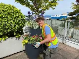 Para Space Landscaping Inc photo 5