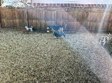 JP Contractors photo 8