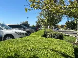 Del Conte's Landscaping photo 2
