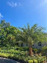 PHB Landscaping & Nursery