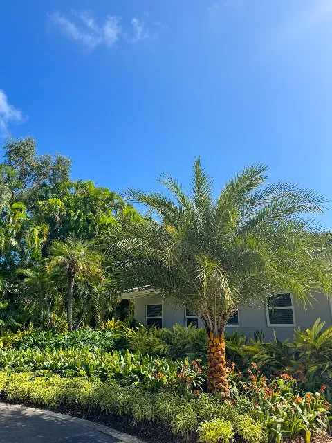 PHB Landscaping & Nursery in Miami