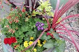 Pacific Landscaping, Inc. photo 4
