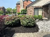 Lemus Landscaping LLC photo 4