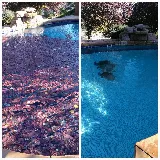 Holt Commercial Pool and Fitness photo 4